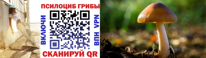 Купить  Ступино  Псилоцибиновые грибы Psilocybine cubensis 